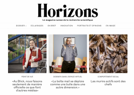 Homepage revue Horizons (capture d'écran)